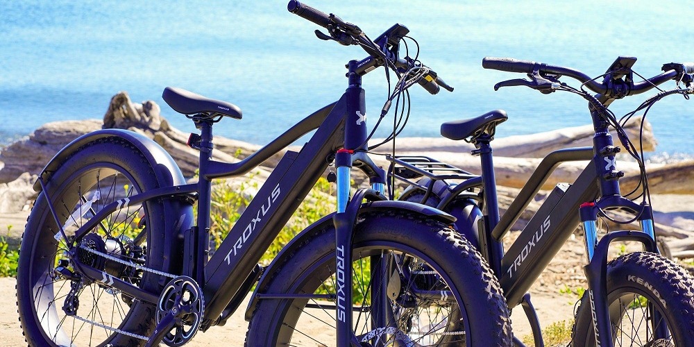 What to Know When Buying Electric Bike Scooter?