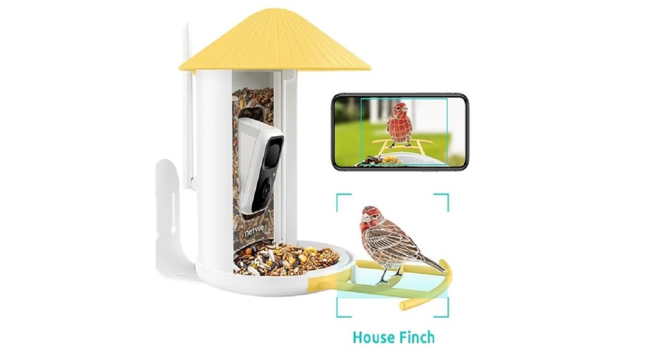 Capturing Bird Moments with Birdfy Nest's 1080P Camera & Night Vision